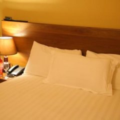 Bagy Hotel and Resort in Addis Ababa, Ethiopia from 207$, photos, reviews - zenhotels.com guestroom photo 2
