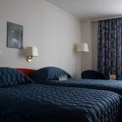 Гостиница Холидей Инн Москва Виноградово (Holiday Inn Moscow Vinogradovo) 4* Стандартный номер с разными типами кроватей фото 7