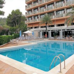 Hotel Abrat с домашними животными