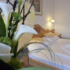 Saldur Small Active Hotel Злудерно комната для гостей фото 2