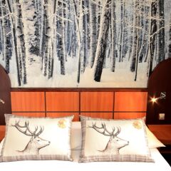Отель Green Hôtels Confort Paris 13 Франция, Париж - 1 отзыв об отеле, цены и фото номеров - забронировать отель Green Hôtels Confort Paris 13 онлайн комната для гостей фото 2