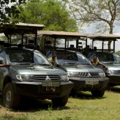 Отель Mahoora Tented Safari Camp All-Inclusive - Yala Шри-Ланка, Катарагама - отзывы, цены и фото номеров - забронировать отель Mahoora Tented Safari Camp All-Inclusive - Yala онлайн парковка