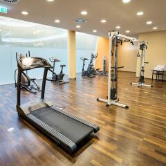 Austria Trend Hotel Savoyen Vienna фитнесс-зал
