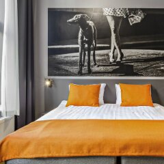 Elite Hotel Adlon комната для гостей фото 5