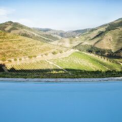 Отель Quinta Nova de Nossa Senhora do Carmo - Luxury Winery House бассейн фото 3