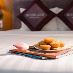 Silverland Sil Hotel & Spa in Ho Chi Minh City, Vietnam from 54$, photos, reviews - zenhotels.com