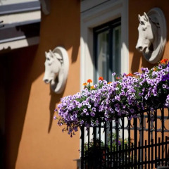 Отель Gallery Park Hotel & SPA, a Châteaux & Hôtels Collection Латвия, Рига - 1 отзыв об отеле, цены и фото номеров - забронировать отель Gallery Park Hotel & SPA, a Châteaux & Hôtels Collection онлайн с домашними животными