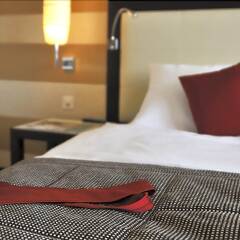 Starling Hotel Geneva удобства в номере