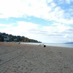 Отель HI-Vancouver Jericho Beach Канада, Ванкувер - отзывы, цены и фото номеров - забронировать отель HI-Vancouver Jericho Beach онлайн пляж