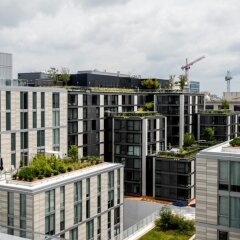 Отель Bluebird Suites in Downtown DC США, Вашингтон - отзывы, цены и фото номеров - забронировать отель Bluebird Suites in Downtown DC онлайн балкон