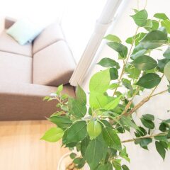 Apartment Hotel Tenjin Tumugu Фукуока балкон
