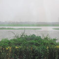 Hotel River view фото 3