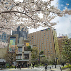 Отель Metropolitan Edmont Tokyo Япония, Токио - отзывы, цены и фото номеров - забронировать отель Metropolitan Edmont Tokyo онлайн фото 4