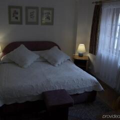 Hotel U Tri Pstrosu Прага комната для гостей фото 2