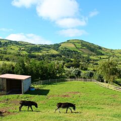 Отель Casas D'arramada Орта фото 10
