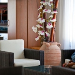 Damon Hotel Apartments гостиничный бар