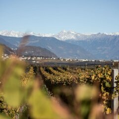 Отель Weingut Donà Аппиано-сулла-Страда-дель-Вино фото 7