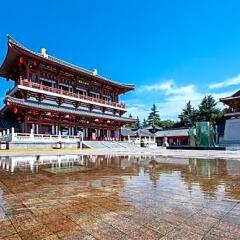 Отель Empark Grand Hotel Китай, Сиань - отзывы, цены и фото номеров - забронировать отель Empark Grand Hotel онлайн фото 8