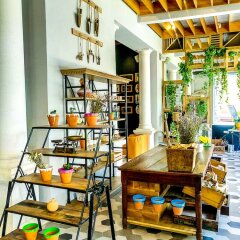 Отель Amadria Park Grand 4 Opatijska Cvijeta Хорватия, Опатия - отзывы, цены и фото номеров - забронировать отель Amadria Park Grand 4 Opatijska Cvijeta онлайн фото 5