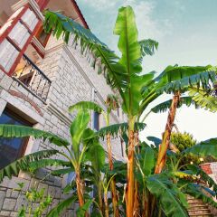 Pasha Port Hotel & Restaurant Чешме фото 6