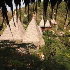 Отель Moondance Magic View Bungalow Таиланд, Остров Тау - отзывы, цены и фото номеров - забронировать отель Moondance Magic View Bungalow онлайн фото 17