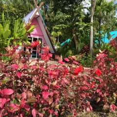 Отель Pakasai Resort (Nuea Khlong) городской автобус
