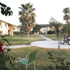 Отель 99 Palms Inn & Suites фото 8