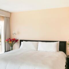 Отель Gaia Hotel And Reserve - Adults Only Коста-Рика, Кепос - отзывы, цены и фото номеров - забронировать отель Gaia Hotel And Reserve - Adults Only онлайн комната для гостей фото 5