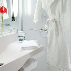 Отель Novotel Paris Est Баньоле ванная
