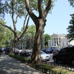 Гостиница Мини-отель Театр Украина, Одесса - 4 отзыва об отеле, цены и фото номеров - забронировать гостиницу Мини-отель Театр онлайн фото 2