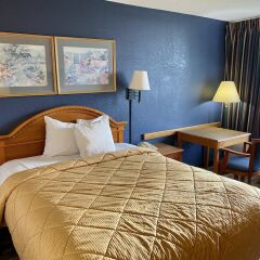 Отель Americas Best Value Inn-Marianna США, Марианна - отзывы, цены и фото номеров - забронировать отель Americas Best Value Inn-Marianna онлайн комната для гостей фото 5