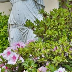 Отель Villa Gabriele DAnnunzio фото 8
