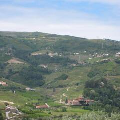 Отель Quinta De Tourais Португалия, Ламего - отзывы, цены и фото номеров - забронировать отель Quinta De Tourais онлайн фото 16