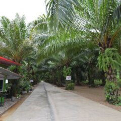 Отель Palm Kaew Resort Krabi