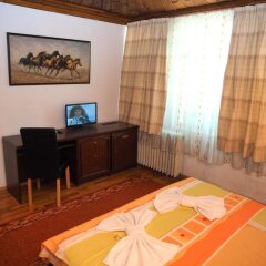 Отель Family Hotel Tangra Болгария, Видин - отзывы, цены и фото номеров - забронировать отель Family Hotel Tangra онлайн удобства в номере