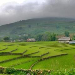 Отель Tavan Ecologic Homestay Вьетнам, Шапа - отзывы, цены и фото номеров - забронировать отель Tavan Ecologic Homestay онлайн фото 10