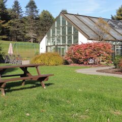 Отель Best Western Plus Waterbury - Stowe фото 15