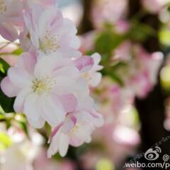 Отель Peking Garden Hotel Китай, Пекин - отзывы, цены и фото номеров - забронировать отель Peking Garden Hotel онлайн фото 6