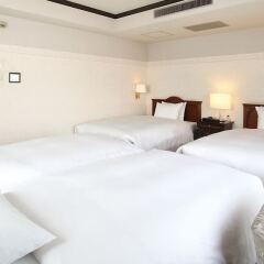 Hotel Piena Kobe Кобе фото 19