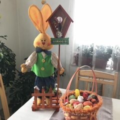 Отель Family Hotel Vit Болгария, Тетевен - отзывы, цены и фото номеров - забронировать отель Family Hotel Vit онлайн фото 35