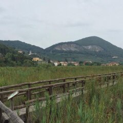 Hotel Le Rotonde Массароза приотельная территория