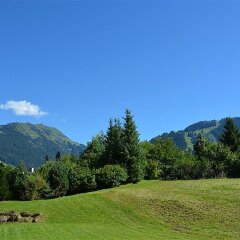 Отель Jacqueline 1 - Three Bedroom Швейцария, Гштад - отзывы, цены и фото номеров - забронировать отель Jacqueline 1 - Three Bedroom онлайн