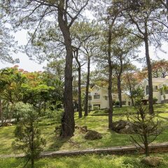 Отель Saigon Halong Халонг фото 14