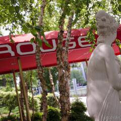 Kimpton Rouge Hotel бассейн