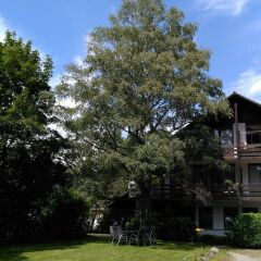 Отель Garden House & Eastpark Apartments Германия, Мюнхен - отзывы, цены и фото номеров - забронировать отель Garden House & Eastpark Apartments онлайн фото 3