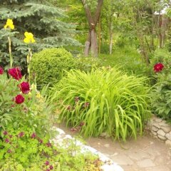 Отель MagHay B&B фото 5
