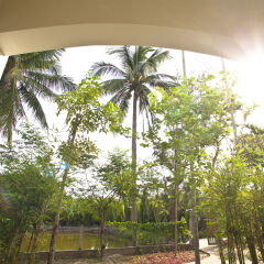 Отель Palm View Villa балкон