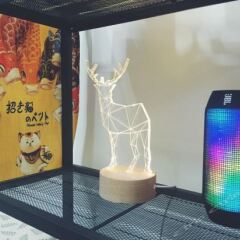 Отель Shenzhen Xinghuo Youth Hostel Китай, Шэньчжэнь - отзывы, цены и фото номеров - забронировать отель Shenzhen Xinghuo Youth Hostel онлайн удобства в номере фото 2