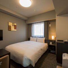 HOTEL ROUTE-INN Grand TOKYO ASAKUSABASHI комната для гостей фото 4