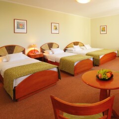 Baross City Hotel детские мероприятия фото 2